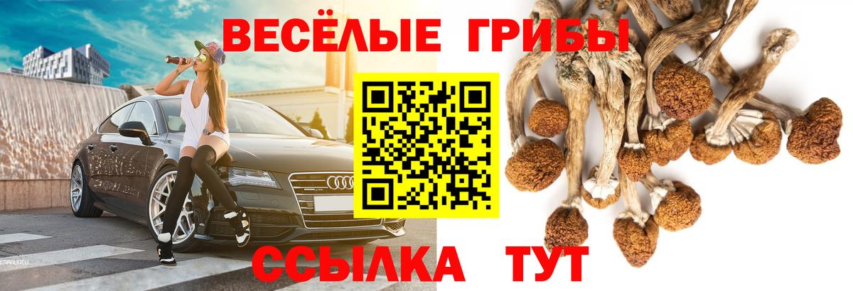 Псилоцибиновые грибы MAGIC MUSHROOMS  Вход с VPN  наркошоп  Муравленко 